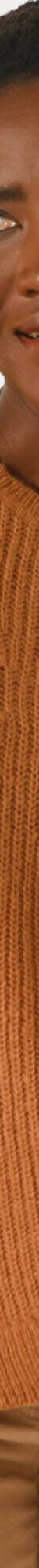 Pull col rond, maille anglaise toucher doux (noisette) Pull col rond, maille anglaise toucher doux (noisette)